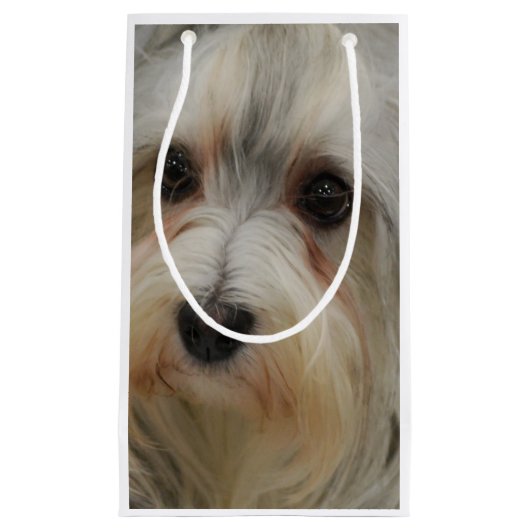 Havanese Kleine Geschenktüte (Vorderseite)