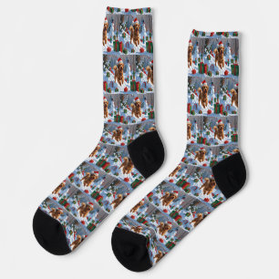 Havanese läuft im Schnee mit Weihnachtsmütze Socken