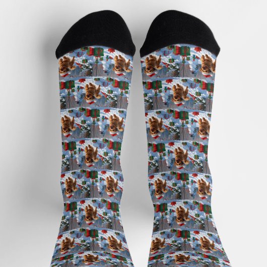 Havanese läuft in Schnee mit Weihnachtshut Socken (Oben)