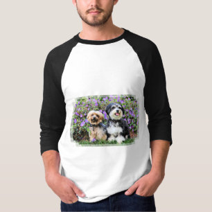 Havanese - Lola u. Yorkie - Molly T-Shirt