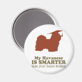 Havanese Magnet (Vorderseite/Rückseite)
