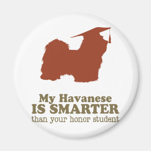 Havanese Magnet