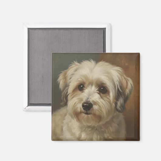 Havanese Magnet (Vorderseite/Rückseite)