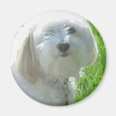 Havanese Magnet (Vorne)