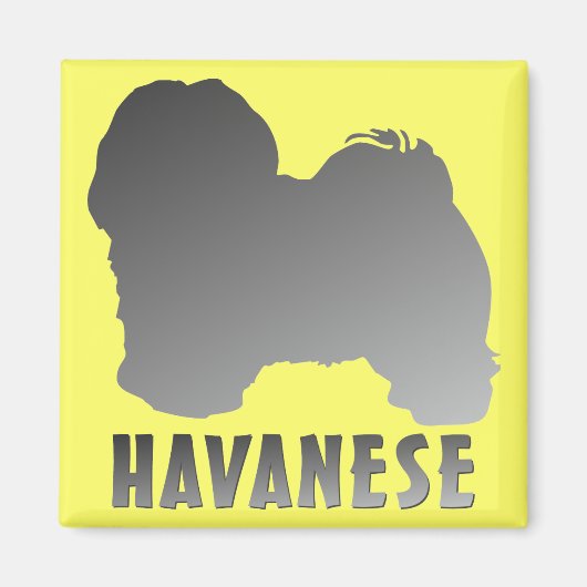 Havanese Magnet (Vorne)