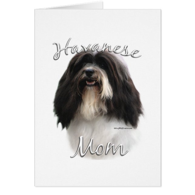 Havanese Mama 2 (Vorne)