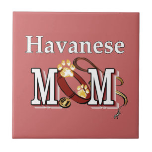 Havanese-Mama Fliese
