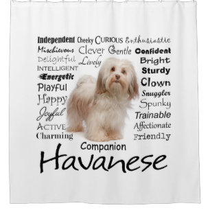 Havanese Merkmal-Duschvorhang Duschvorhang