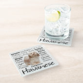 Havanese Merkmal-Glas-Untersetzer Glasuntersetzer (Schrägansicht)