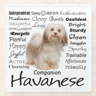 Havanese Merkmal-Glas-Untersetzer Glasuntersetzer