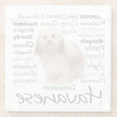 Havanese Merkmal-Glas-Untersetzer Glasuntersetzer (Rückseite)
