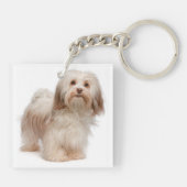 Havanese Merkmal-Schlüsselanhänger Schlüsselanhänger (Rückseite)