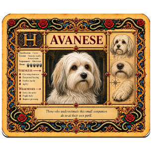 Havanese, mittelalterliche Bestiarien-Kunst Mousepad