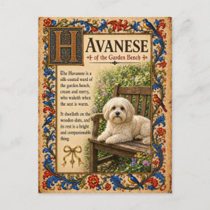 Havanese, mittelalterliche Bestiarien-Kunst Postkarte