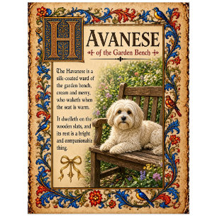 Havanese, mittelalterliche Bestiarien-Kunst Postkarte