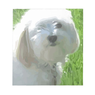 Havanese Notizblock