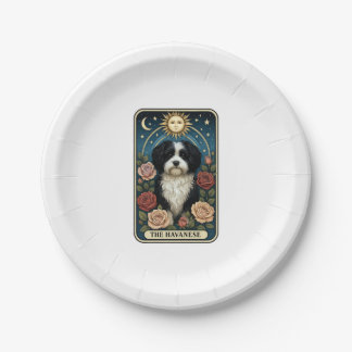 Havanese Pappteller