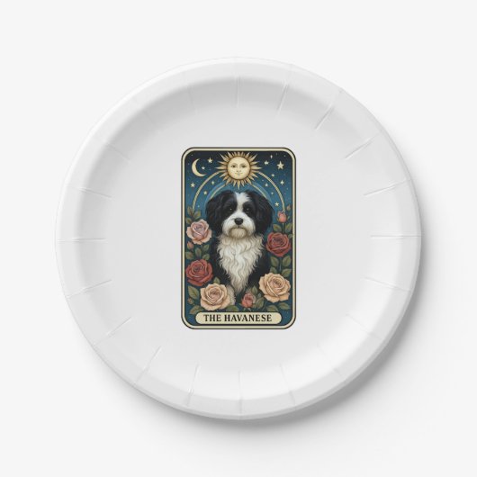 Havanese Pappteller (Vorderseite)