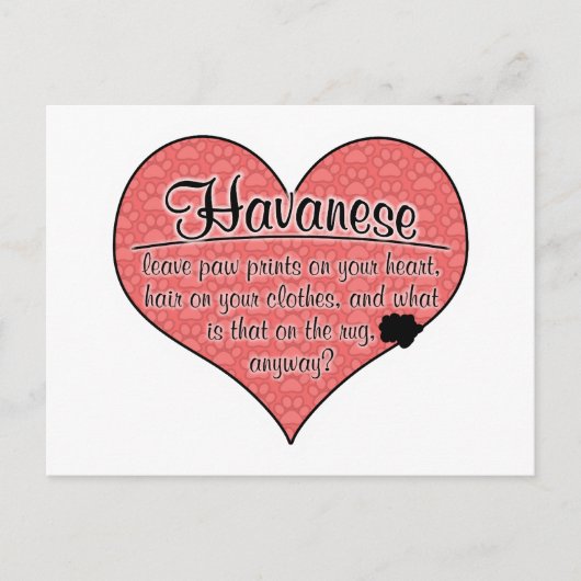 Havanese Paw Prints Hunde Humor Postkarte (Vorderseite)