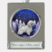 Havanese Personalisierte Weihnachten Banner-Ornament Silber (Vorderseite)