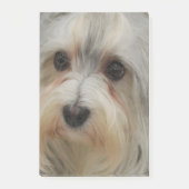 Havanese Post-it Klebezettel (Vorderseite)
