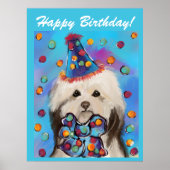 HAVANESE POSTER (Vorne)
