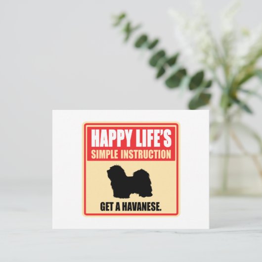 Havanese Postkarte (Stehend Vorderseite)