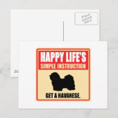 Havanese Postkarte (Vorne/Hinten)