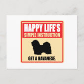Havanese Postkarte (Vorderseite)