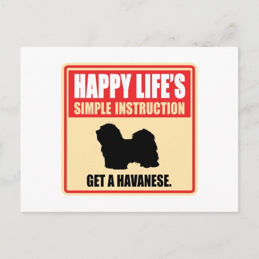 Havanese Postkarte (Vorderseite)