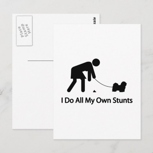 Havanese Postkarte (Vorne/Hinten)