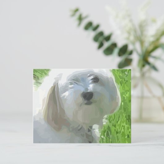 Havanese Postkarte (Stehend Vorderseite)