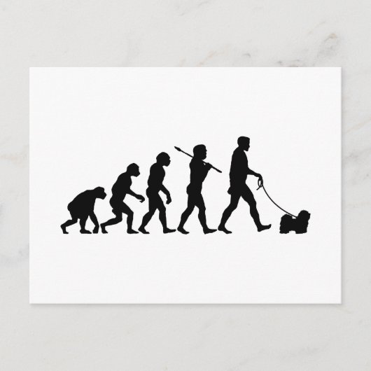 Havanese Postkarte (Vorderseite)