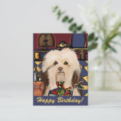HAVANESE POSTKARTE (Stehend Vorderseite)