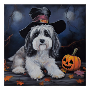 Havanese Pumpkins Halloween Beängstigend Poster