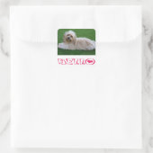 Havanese Puppy Dog Hello Stickers Siegel (Tasche)