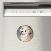 Havanese Puppy Magnet (In Situ (Geschirrspüler))
