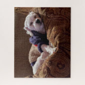 Havanese Puppy Napping - Jigsaw Puzzle (Vertikal)