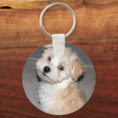 Havanese Puppy Schlüsselanhänger (Vorderseite)