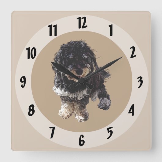 Havanese Quadratische Wanduhr (Vorderseite)