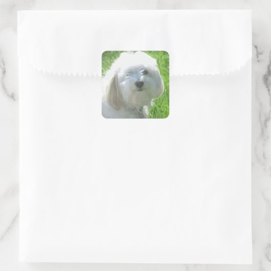 Havanese Quadratischer Aufkleber (Tasche)