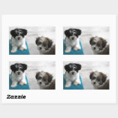 Havanese Rescue Puppies Schwarz-weiß Grau Rechteckiger Aufkleber (Blatt)