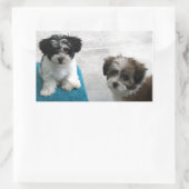 Havanese Rescue Puppies Schwarz-weiß Grau Rechteckiger Aufkleber (Tasche)