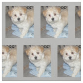 Havanese Rettung Puppt Stoff (Muster)