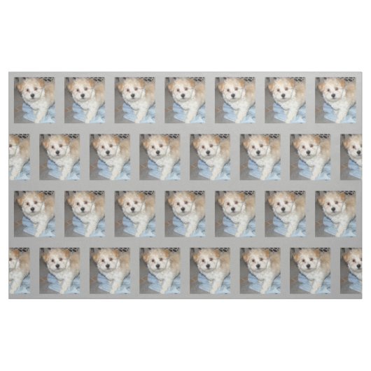 Havanese Rettung Puppt Stoff (Fat Quarter (45,7 x 55,9 cm))