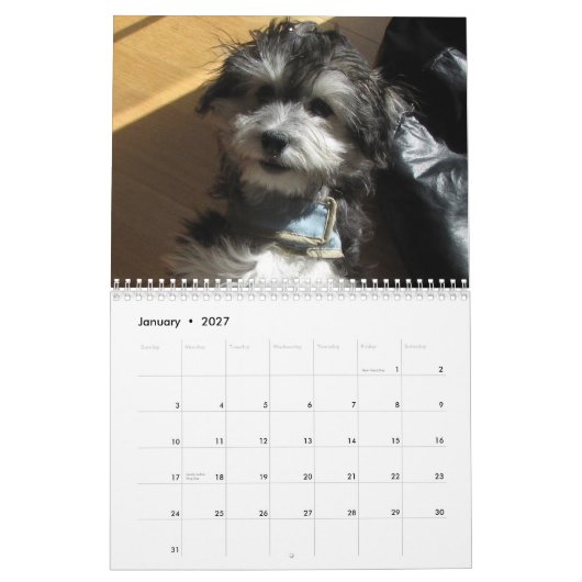 Havanese Rettungs-Kalender Kalender (Jan 2027)