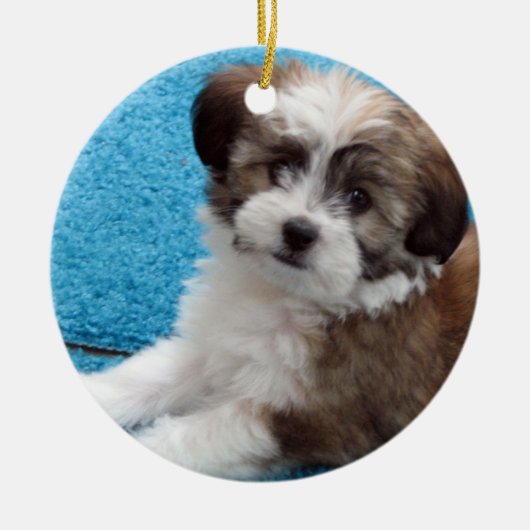 Havanese Rettungs-Welpe Keramikornament (Vorne)