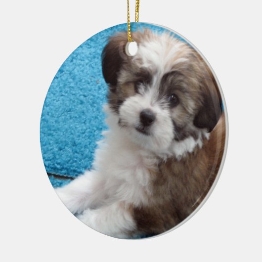 Havanese Rettungs-Welpe Keramikornament (Links)