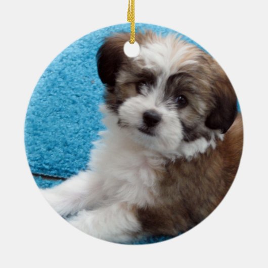 Havanese Rettungs-Welpe Keramikornament (Hinten)