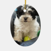 Havanese Rettungs-Welpe Schwarz-weiß Keramik Ornament (Vorne)